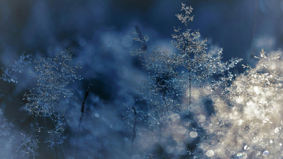 Festività natalizie | Chiusura Ufficio UMS