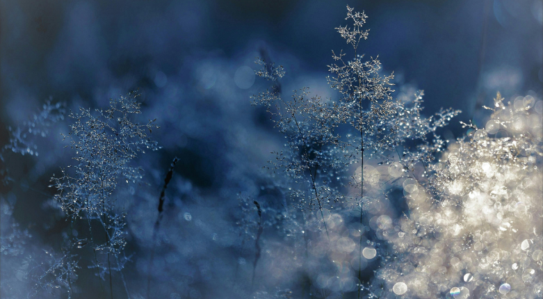 Festività natalizie | Chiusura Ufficio UMS