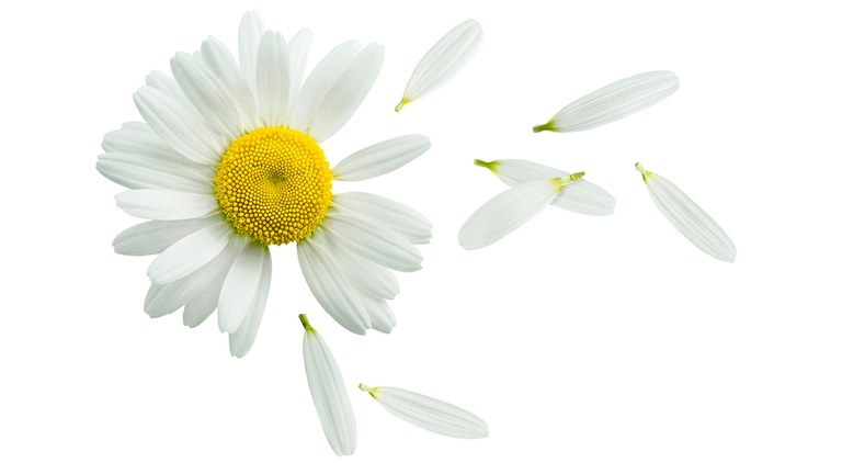 Notizie master 885x487.jpg